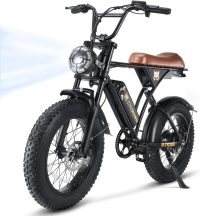 CycRun Electric Bike for Adults