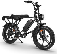 Hipatoo V8 Electric Bike Adults, Fat Tire E Bike with 750W