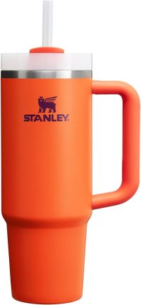 Stanley Quencher H2.0 FlowState Tumbler