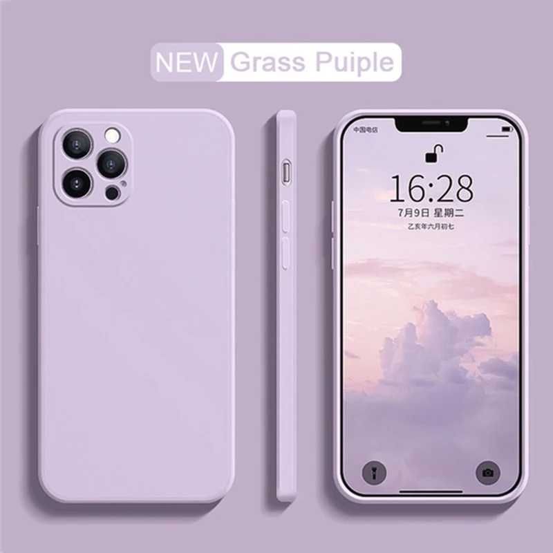 Grass Purple