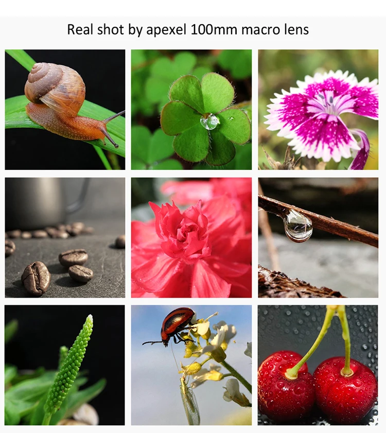 APEXEL 4K HD 100mm macro lens Professional phone camera lens+CPL+star filters for iPhonex xs max 11Samsung s10 all smartphone APEXEL 4K HD 100mm macro lens Professional phone camera lens+CPL+star filters for iPhonex xs max 11Samsung s10 all smartphone