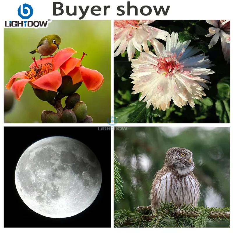Lightdow 420-800mm f/8.3-16 Manual Telephoto Zoom Lens for Canon RF Canon EF  Nikon F Nikon Z Sony A Sony E Mount Camera