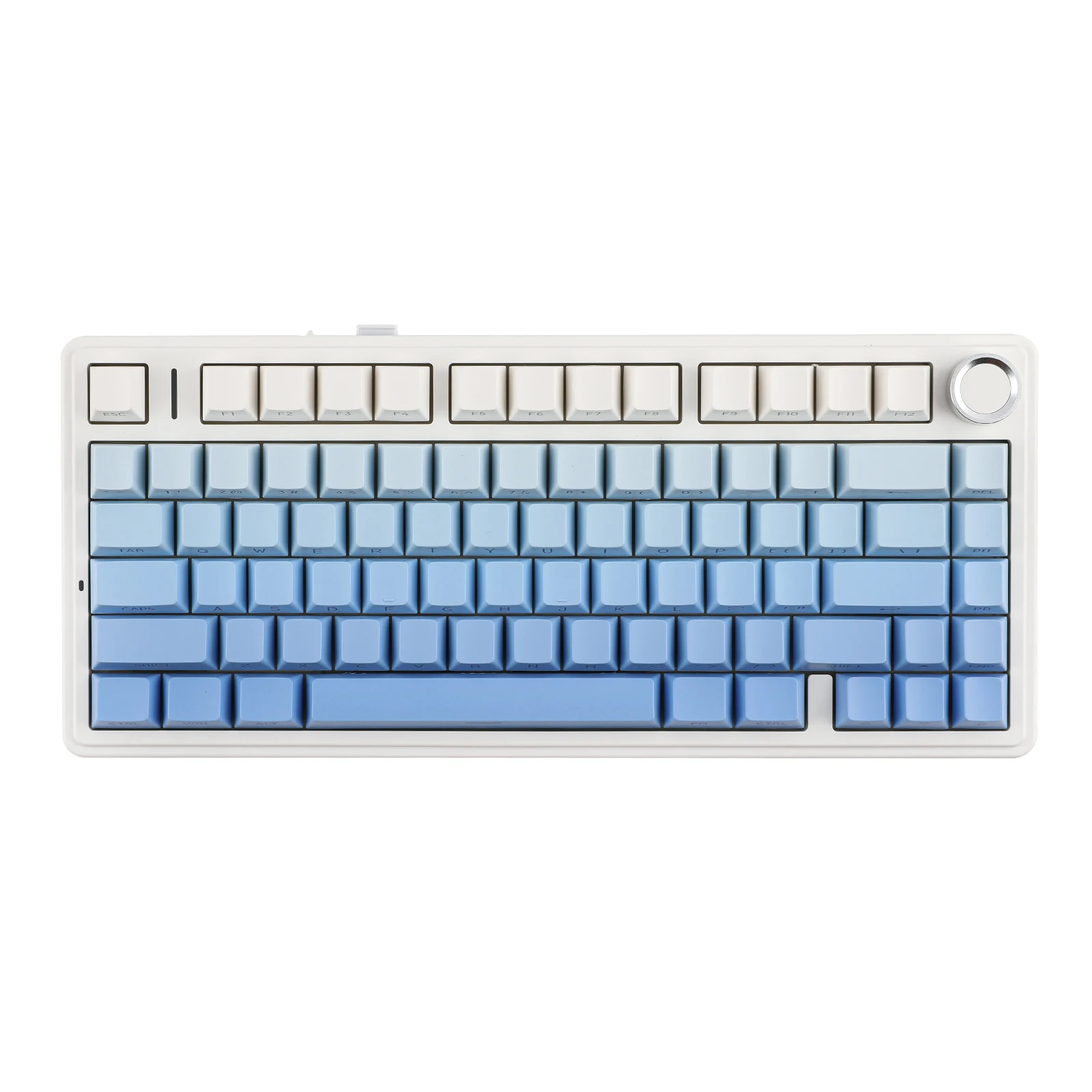 Blue (Side-Printed)