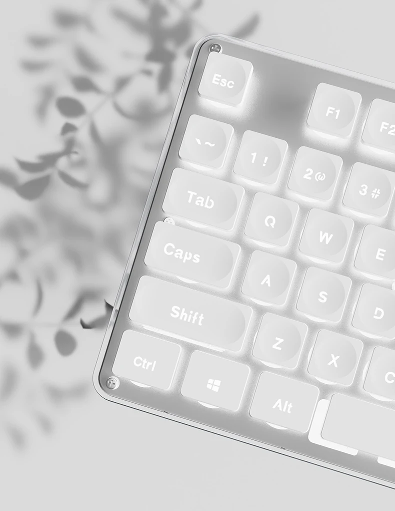 EWEADN GX710S Office Keyboard silent, All-Metal Panel 104 Keys Wired with Water Drop Keycaps, for Game and Office White & Black