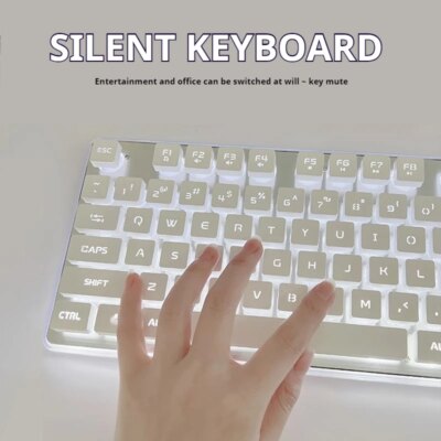 EWEADN GX710S Office Keyboard silent, All-Metal Panel 104 Keys Wired with Water Drop Keycaps, for Game and Office White & Black - Image 2