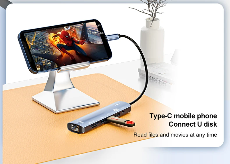 Type C HUB with Displayport,PD100W, Ethernet, 2 USB Ports, SD/TF Multiport 7-In-1 USB to DP Adapter Docking Station Dongle