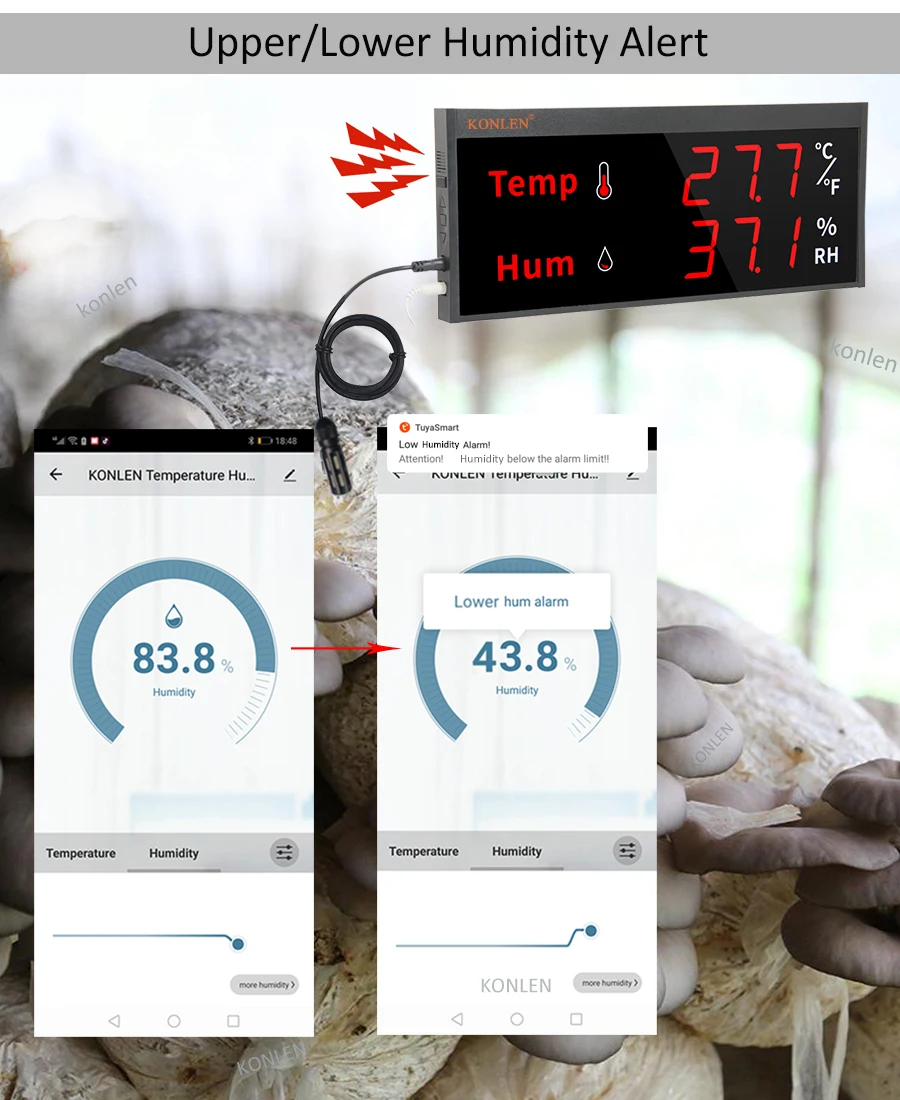 WiFi Temperature Humidity Sensor Big Screen Digital Hygrometer Thermometer Tuya Smart Life For Freezer Plants Moisture Monitor