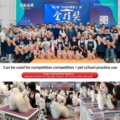 Pet Groomer Fake Dog Model New Three-In-One Model Teddy Ram Poodle Shape Head Practice Fake Hair - Image 6