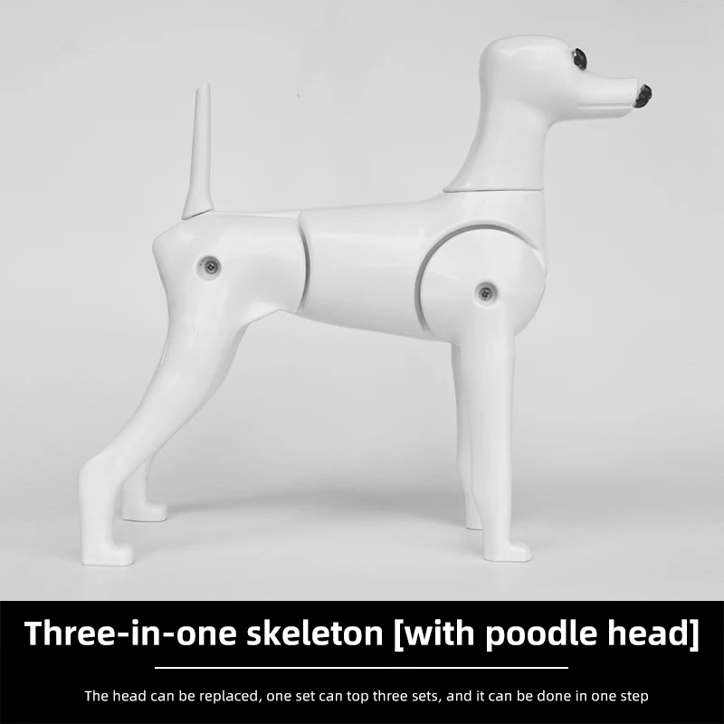 Poodle Skeleton