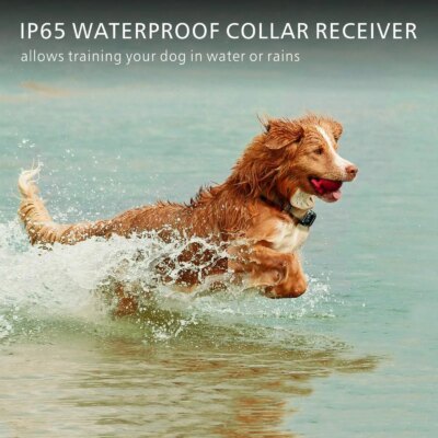 Electric Dog Training Collar Waterproof Dog Bark Collar Pet With Remote Control Rechargeable Anti Barking Device All Dogs Size - Image 4