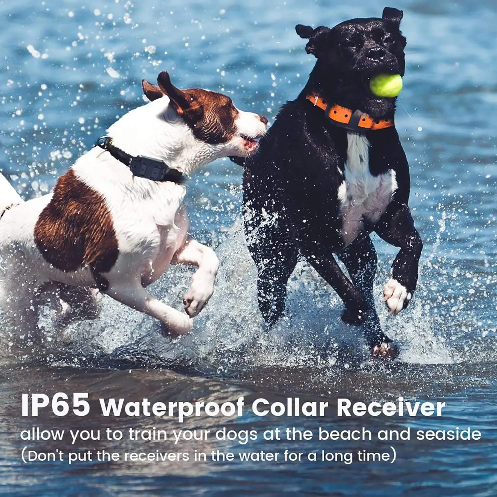 Electric Dog Training Collar Waterproof Dog Bark Collar Pet With Remote Control Rechargeable Anti Barking Device All Dogs Size