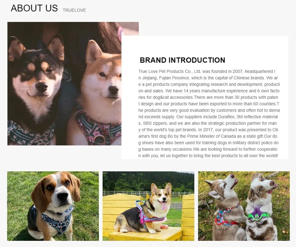 Truelove Pet Harness Small Medium Large Split Dog Fashion Outdoor Dropshipping Truelove Pet Harness Small Medium Large Split Dog Fashion Outdoor Dropshipping