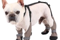Waterproof Pet Dog Shoes Back Strap for Warm Dogs Prevent Detachment Shoes Pets Supplies Outdoor Activities Anti Dirty Shoe