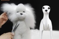 Professional pet grooming fake dog model practice dog standard skeleton model dog pet simulator model