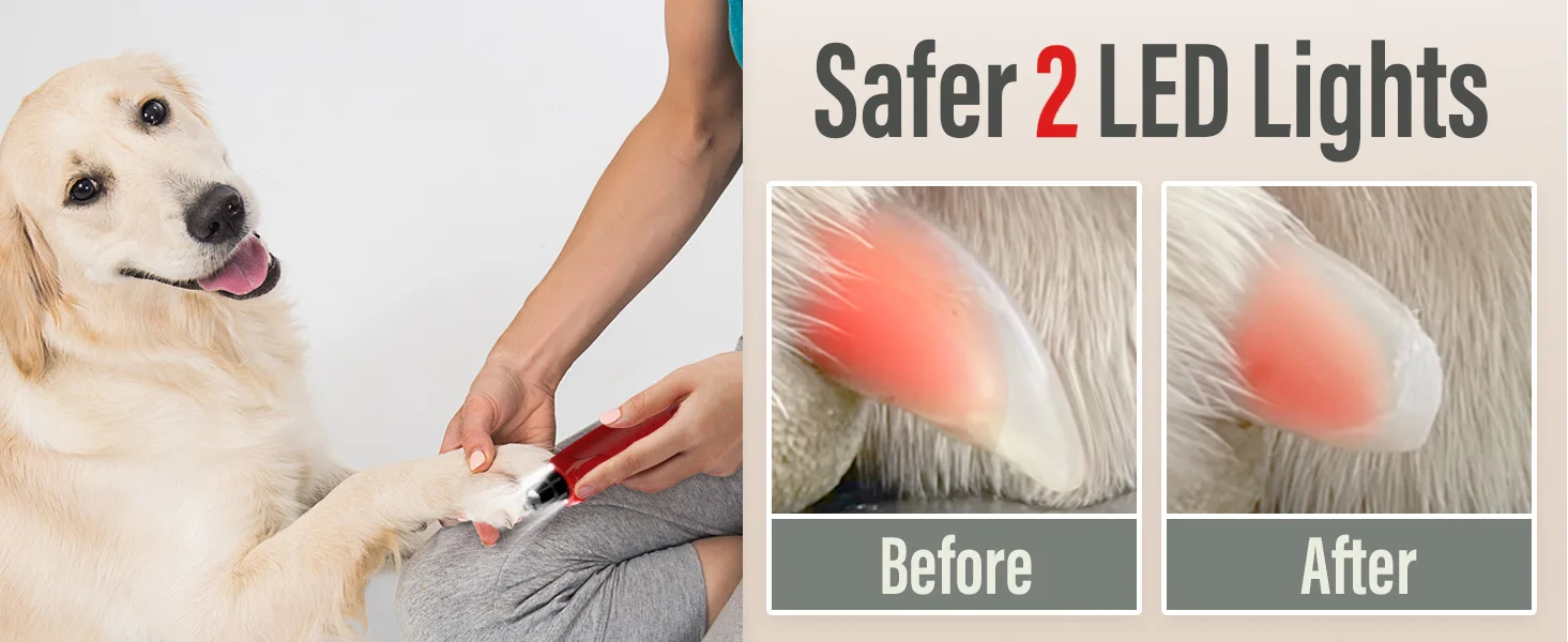 Dog Nail Grinder Dustproof with 2 LED Light - Super Quiet Powerful 6-Speed Nail Trimmer File for Small Medium Large Dogs dog acc