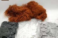 Pet simulation hair only beauty fake Beautician practice dog standard poodle whole body fake hair Must be used with skeleton