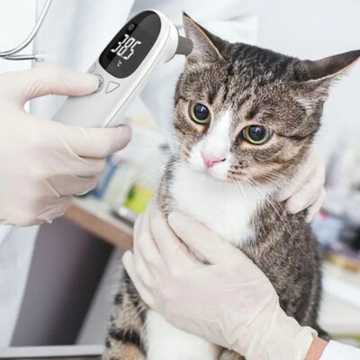 Pet Dog Cat Ear Digital Thermometer Animal Thermometers For Cats Animal Measuring Non-Contact Electronic For Home and Clinic Use - Image 2