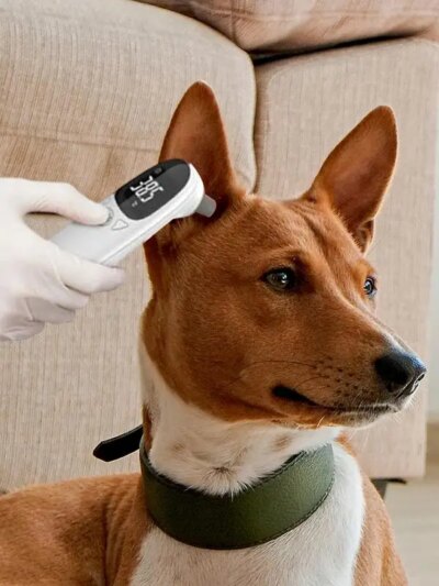 Pet Dog Cat Ear Digital Thermometer Animal Thermometers For Cats Animal Measuring Non-Contact Electronic For Home and Clinic Use - Image 3