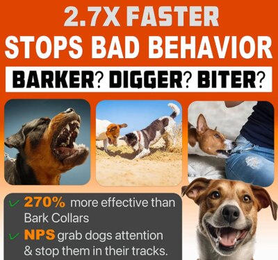 Pet Dog Repeller Ultrasonic Dog Training Device Rechargeable Anti Dog Bark Deterrent Device With LED Flashlight - Image 3