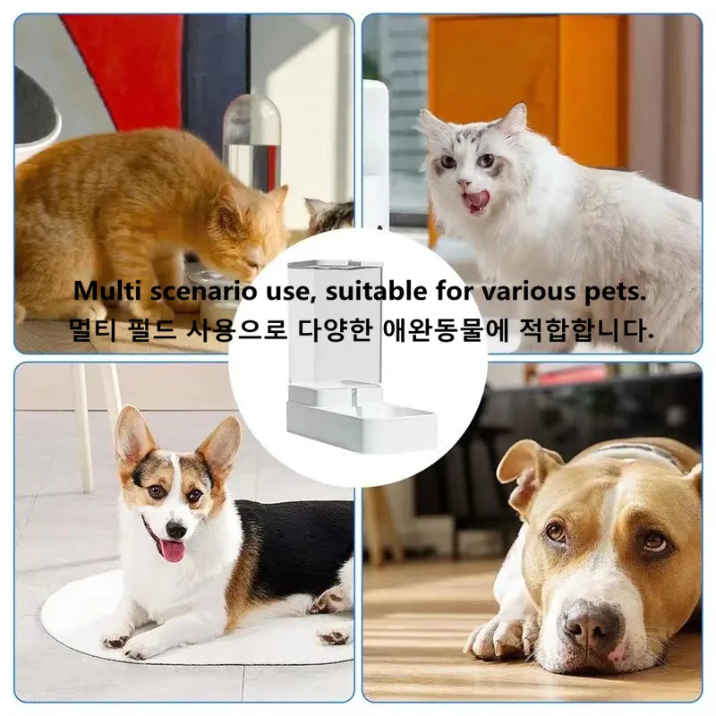Pet Feed Dispenser Cat Dog Bowl Automatic Feeder Pet Accessories Dog Feeder Automatic Feeding Water Bowl Transparent Pet Storage Pet Feed Dispenser Cat Dog Bowl Automatic Feeder Pet Accessories Dog Feeder Automatic Feeding Water Bowl Transparent Pet Storage