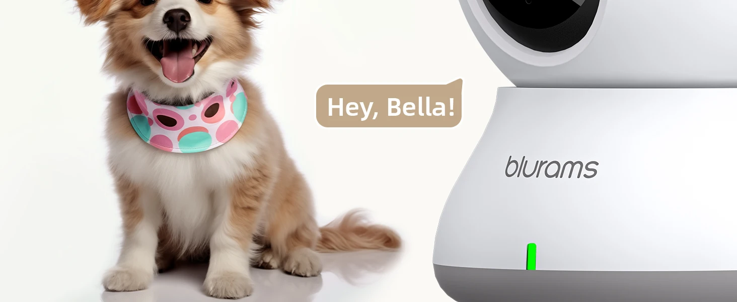 Blurams 2.4＆5G WiFi Indoor Camera, 2K, 360° PTZ Pet Dog IP CCTV Camera with Phone App, 2-Way Talk, Night Vision, for Home Securi