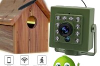 Green Wifi Bird Box Camera Audio 1920P 1080P IR CUT Night Vision RTSP FTP Mini IP IPC Pet Nest Bird Watching 2.8mm lens Camhi