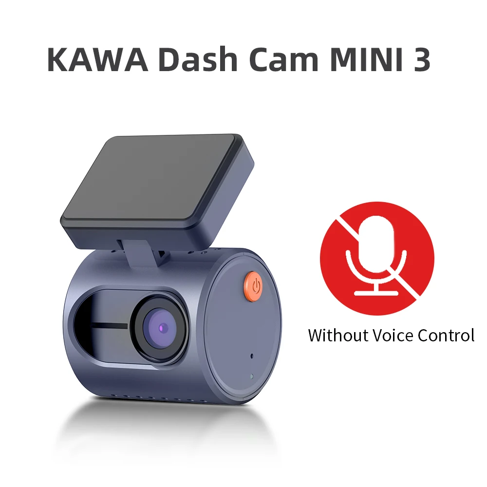 NO Voice Control