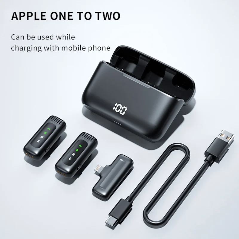 Lightning Port 2 MIC