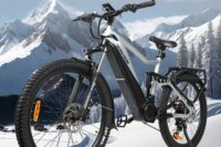 Varstrom Electric Bike 48V 750W 27.5In Cola Bear 2.0 Adult E-bike (Peak 1200W) Mid Motor Kits 960Wh Battery MTB Trekking Bicycle