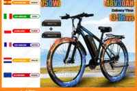 Ebike 750W Motor 48V30AH Dual Lithium Battery Electric Bike Aluminum Alloy Frame Adult 29-inch Tire All-terrain Electric Bicycle