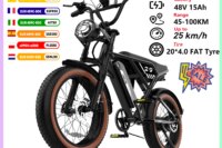 RCB 20'' E Bike, Electric Mountain Bike for Adults, Commuting Electric Bike with Removable 48V 15Ah Battery, Range 45-100KM