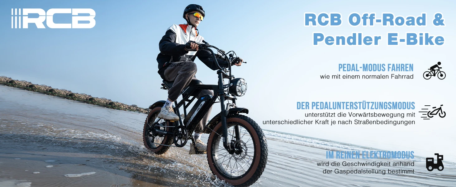 RCB 20'' E Bike, Electric Mountain Bike for Adults, Commuting Electric Bike with Removable 48V 15Ah Battery, Range 45-100KM