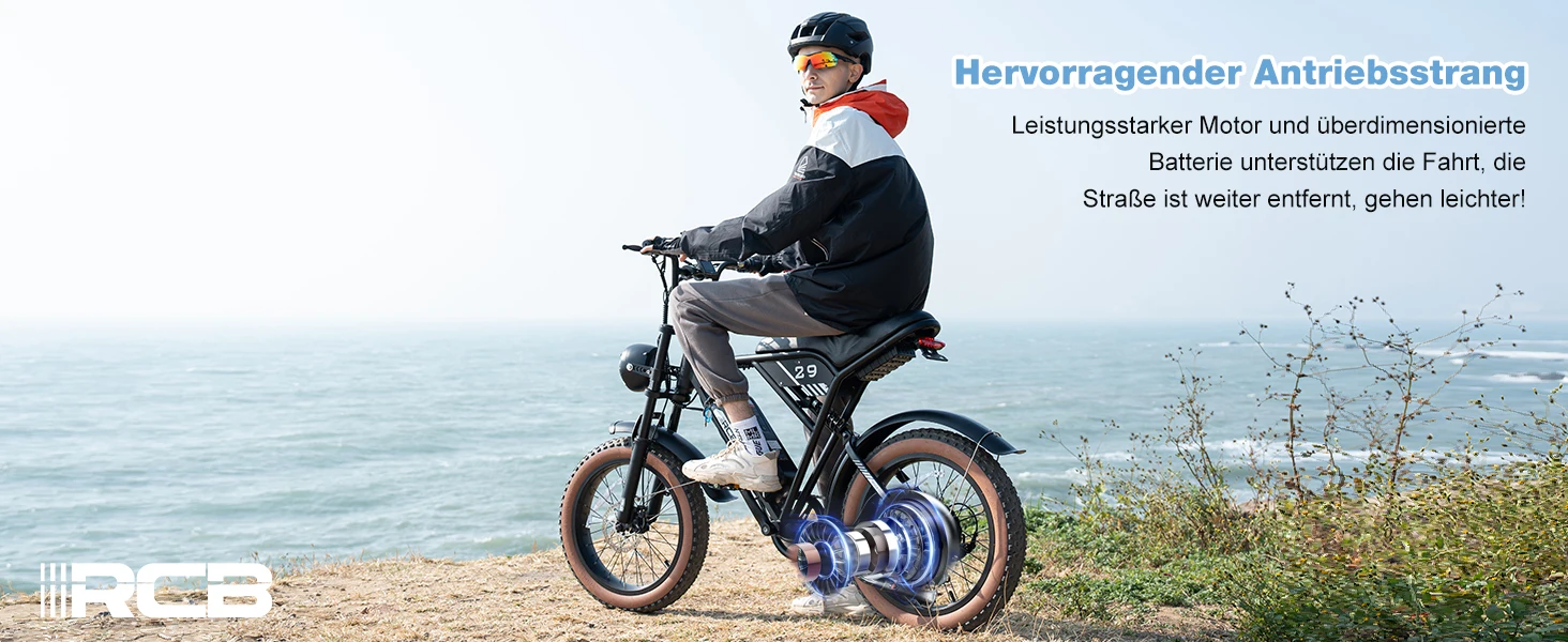 RCB 20'' E Bike, Electric Mountain Bike for Adults, Commuting Electric Bike with Removable 48V 15Ah Battery, Range 45-100KM