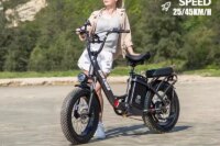 Hots Sale U8 1000W45KM/H 20 Inch Electric Bicycle 48V31.5AH Lithium Battery Ebike 4.0 Fatbike Electric Bike for adults