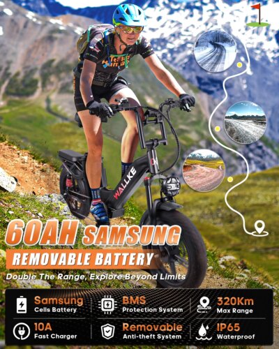 W Wallke H7 Electric Bike for Adults 60Ah/40Ah 3200W Dual-Motor 320 KM Long Range Step Thru eBike 20*4.0'' Fat Tire  APP Control - Image 3