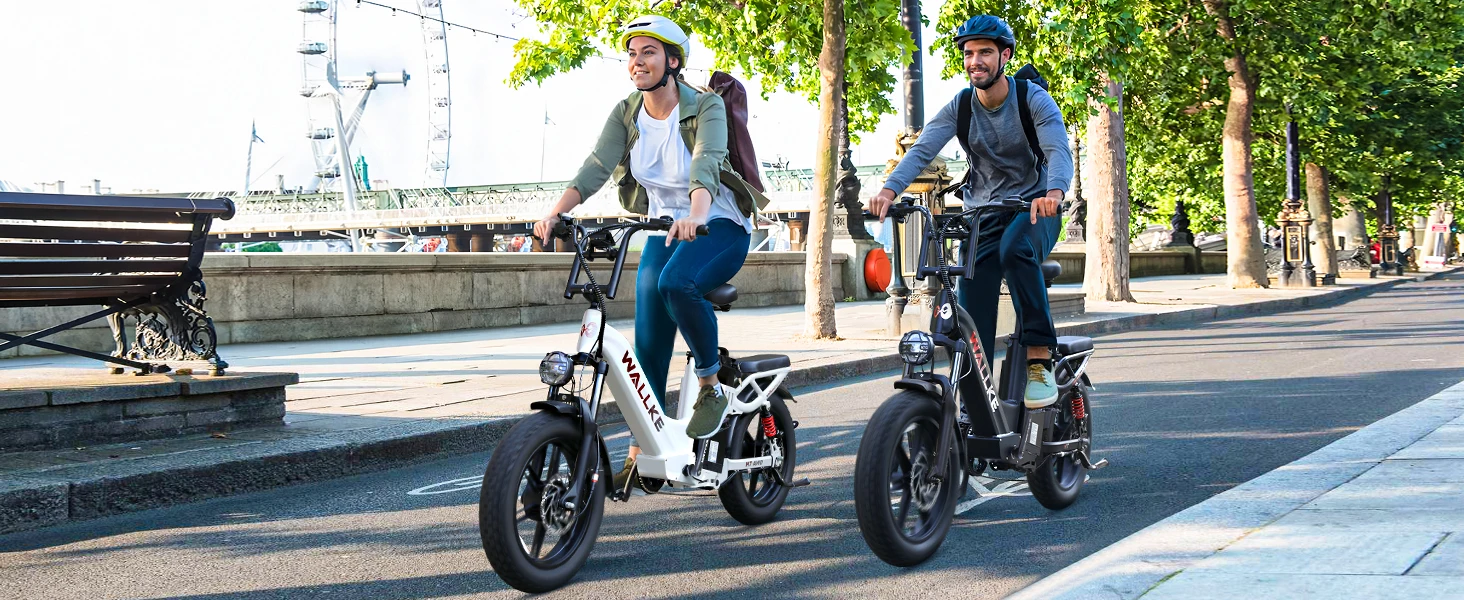 W Wallke H7 Electric Bike for Adults 60Ah/40Ah 3200W Dual-Motor 320 KM Long Range Step Thru eBike 20*4.0'' Fat Tire  APP Control