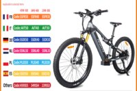 Hedatx TX19 1000W Motor 48V 19.2Ah Electric Bike 29 Inch x2.4 Adult Electric Mountain Bike Power Assist E-Bike Hydraulic Brake