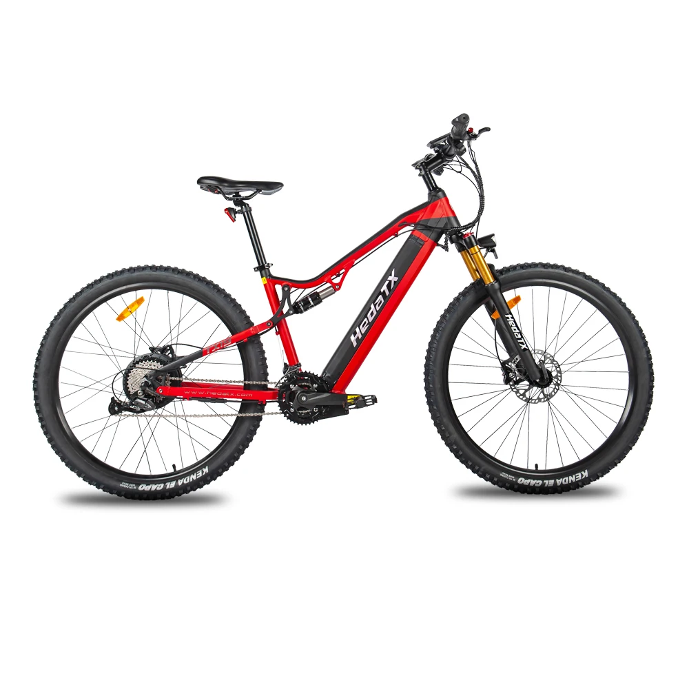 Hedatx TX19 1000W Motor 48V 19.2Ah Electric Bike 29 Inch x2.4 Adult Electric Mountain Bike Power Assist E-Bike Hydraulic Brake