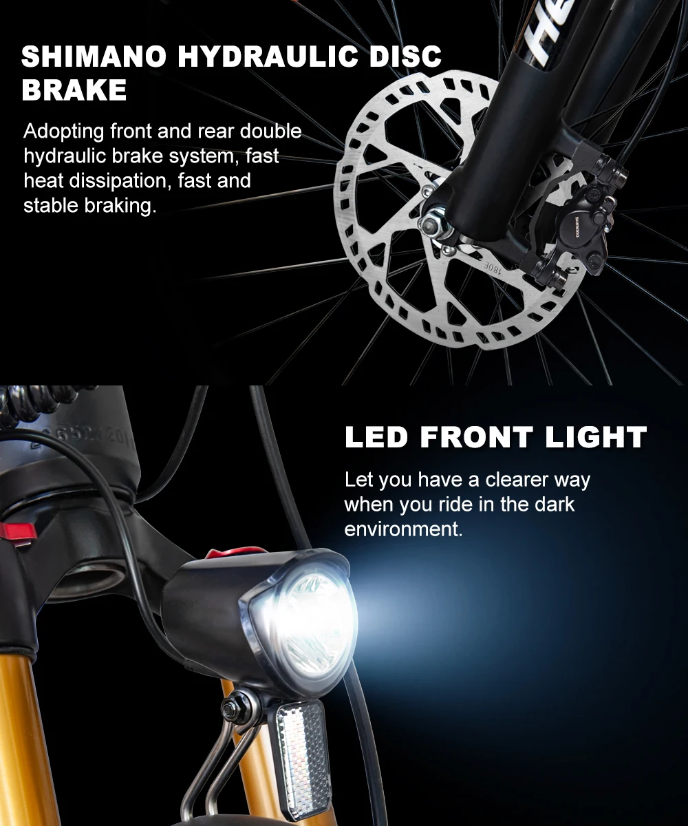 Hedatx TX19 1000W Motor 48V 19.2Ah Electric Bike 29 Inch x2.4 Adult Electric Mountain Bike Power Assist E-Bike Hydraulic Brake