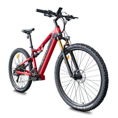 Hedatx TX19 1000W Motor 48V 19.2Ah Electric Bike 29 Inch x2.4 Adult Electric Mountain Bike Power Assist E-Bike Hydraulic Brake - Image 2