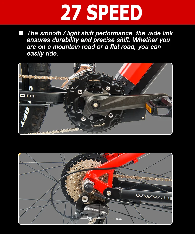 Hedatx TX19 1000W Motor 48V 19.2Ah Electric Bike 29 Inch x2.4 Adult Electric Mountain Bike Power Assist E-Bike Hydraulic Brake
