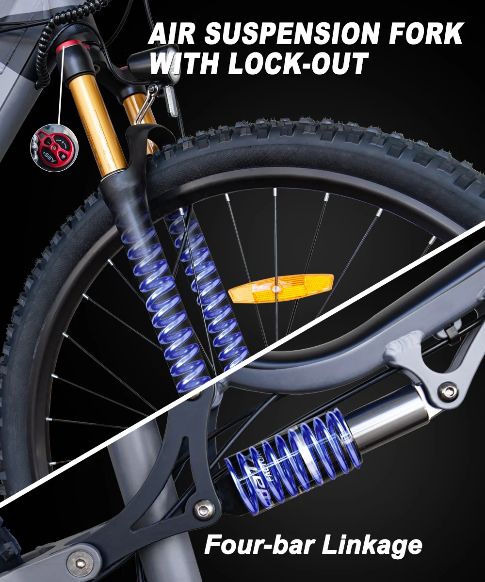 Hedatx TX19 1000W Motor 48V 19.2Ah Electric Bike 29 Inch x2.4 Adult Electric Mountain Bike Power Assist E-Bike Hydraulic Brake