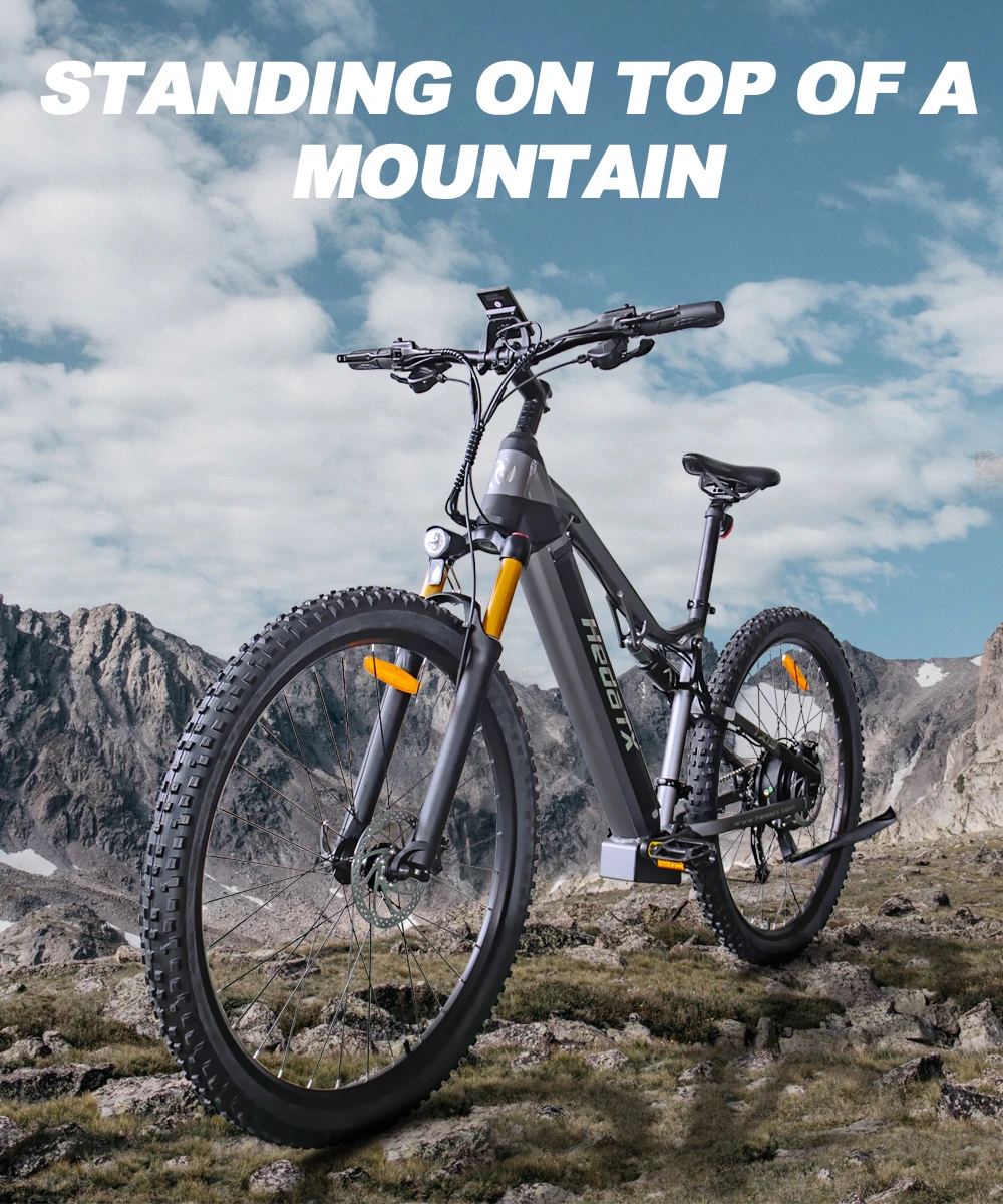 Hedatx TX19 1000W Motor 48V 19.2Ah Electric Bike 29 Inch x2.4 Adult Electric Mountain Bike Power Assist E-Bike Hydraulic Brake