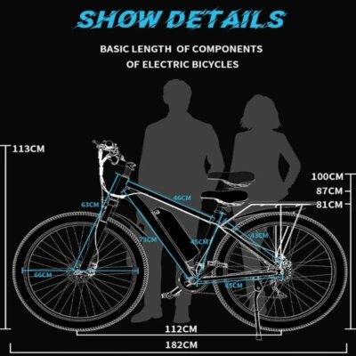 Electric Bicycle C29 750W Powerful Brushless Motor 48V30AH Dual Removable Battery Adult  E-bike 29 Inch Tire City Electric Bike - Image 6