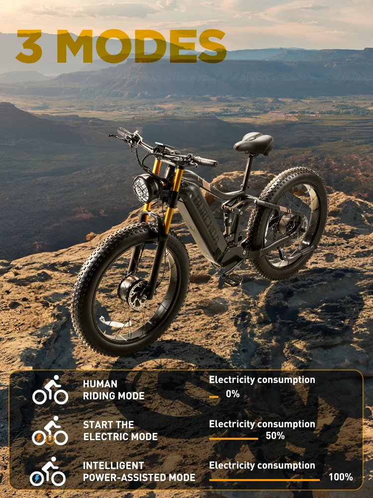 BURCHDA-Electric bike with two motors for adult, 26 inches wide, mountain Electric bike, 48V, 30 Ah, 2500W, HC26