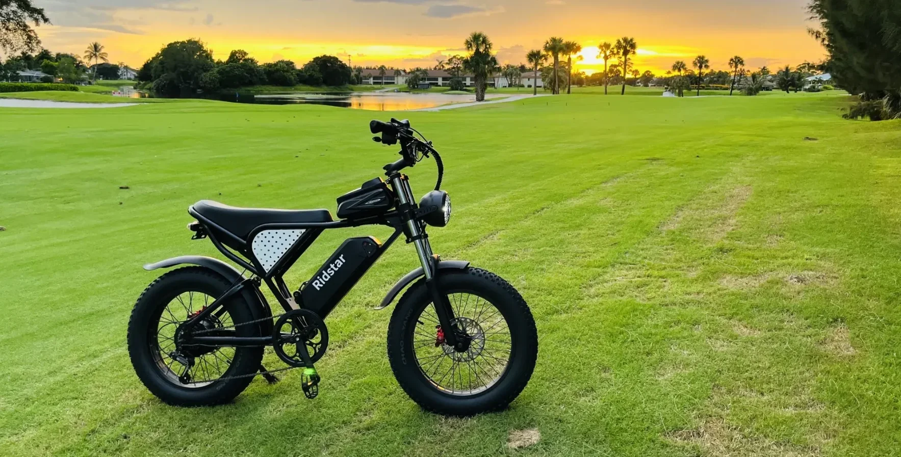 Ridstar-Q20 Pro Electric Bike for Adults, 2000W 52V, 40AH Battery, Max 50-180 Miles Electric Motorcycle, 20
