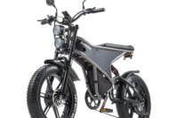 RANDRIDE DM711 Electric Bicycle Dual Motor 500W*2 Adult E-Bike 48V 20Ah Battery 20 Inch 4.0 Wide Tire  Men's Electric Bike