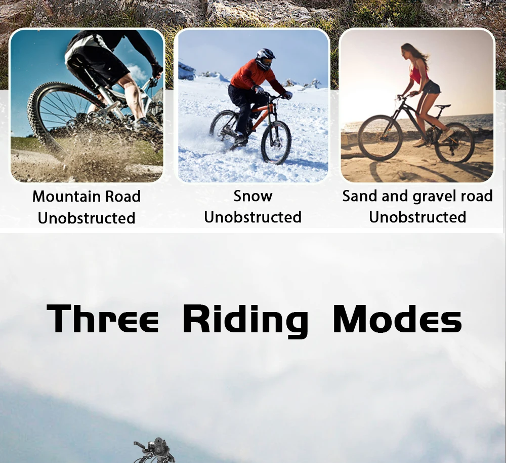 Pasebik Off-Road Mount Electric truck 29 Inch Adult Electric Bike, 750W 48V 21Ah Li-ion Battery 21 Speed Mount Sport boat