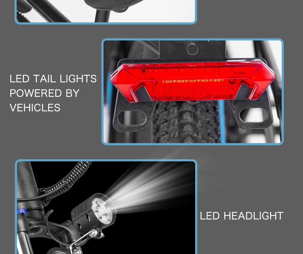 Pasebik Off-Road Mount Electric truck 29 Inch Adult Electric Bike, 750W 48V 21Ah Li-ion Battery 21 Speed Mount Sport boat