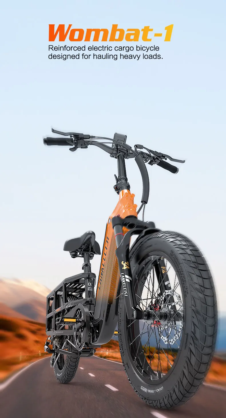 LANKELEISI Wombat-1 Adult Electric Bike 1000W 48V20AH City E-Bike 20 inch Fat fetus Non Foldable LCD Instrument Electric Bicycle